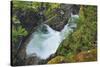 Canada, British Columbia. Waterfall on the Little Qualicum River.-Jaynes Gallery-Stretched Canvas