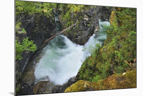 Canada, British Columbia. Waterfall on the Little Qualicum River.-Jaynes Gallery-Mounted Photographic Print