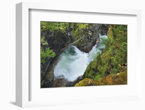 Canada, British Columbia. Waterfall on the Little Qualicum River.-Jaynes Gallery-Framed Photographic Print