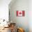 Canada Country Flag - Barnwood Painting-Lantern Press-Stretched Canvas displayed on a wall