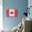 Canada Country Flag - Barnwood Painting-Lantern Press-Stretched Canvas displayed on a wall