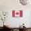 Canada Country Flag - Barnwood Painting-Lantern Press-Art Print displayed on a wall