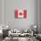 Canada Country Flag - Barnwood Painting-Lantern Press-Art Print displayed on a wall