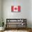 Canada Country Flag - Barnwood Painting-Lantern Press-Stretched Canvas displayed on a wall