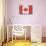 Canada Country Flag - Barnwood Painting-Lantern Press-Art Print displayed on a wall