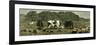 Canada Farm Life Cattle Grazing in Newly Cleared Pasture 1880-null-Framed Giclee Print