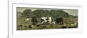 Canada Farm Life Cattle Grazing in Newly Cleared Pasture 1880-null-Framed Premium Giclee Print