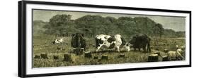 Canada Farm Life Cattle Grazing in Newly Cleared Pasture 1880-null-Framed Premium Giclee Print