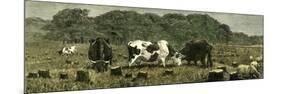 Canada Farm Life Cattle Grazing in Newly Cleared Pasture 1880-null-Mounted Giclee Print