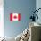 Canada Flag Art Print Poster-null-Mounted Poster displayed on a wall