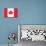 Canada Flag Art Print Poster-null-Mounted Poster displayed on a wall