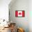 Canada Flag Art Print Poster-null-Framed Poster displayed on a wall