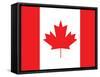 Canada Flag Art Print Poster-null-Framed Stretched Canvas