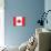 Canada Flag Art Print Poster-null-Stretched Canvas displayed on a wall
