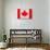 Canada Flag Design with Wood Patterning - Flags of the World Series-Philippe Hugonnard-Art Print displayed on a wall