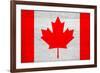 Canada Flag Design with Wood Patterning - Flags of the World Series-Philippe Hugonnard-Framed Art Print