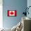 Canada Flag Design with Wood Patterning - Flags of the World Series-Philippe Hugonnard-Framed Stretched Canvas displayed on a wall