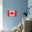Canada Flag Design with Wood Patterning - Flags of the World Series-Philippe Hugonnard-Art Print displayed on a wall