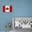 Canada Flag Distressed Art Print Poster-null-Poster displayed on a wall