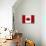 Canada Flag Distressed Art Print Poster-null-Poster displayed on a wall