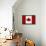 Canada Flag Distressed Art Print Poster-null-Framed Poster displayed on a wall