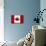 Canada Flag Distressed Art Print Poster-null-Mounted Poster displayed on a wall