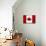 Canada Flag Distressed Art Print Poster-null-Mounted Poster displayed on a wall