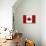 Canada Flag Distressed Art Print Poster-null-Stretched Canvas displayed on a wall