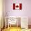 Canada Flag Distressed Art Print Poster-null-Poster displayed on a wall