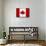 Canada Flag Distressed Art Print Poster-null-Mounted Poster displayed on a wall