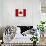 Canada Flag Distressed Art Print Poster-null-Mounted Poster displayed on a wall