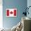 Canada Flag-ekler-Art Print displayed on a wall