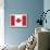 Canada Flag-ekler-Mounted Art Print displayed on a wall