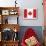 Canada Flag-ekler-Mounted Art Print displayed on a wall