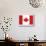 Canada Flag-ekler-Mounted Art Print displayed on a wall