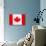 Canada Flag-jlgoodyear-Art Print displayed on a wall