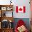 Canada Flag-jlgoodyear-Art Print displayed on a wall