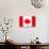 Canada Flag-jlgoodyear-Art Print displayed on a wall