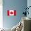 Canada Flag-jlgoodyear-Art Print displayed on a wall