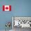 Canada Flag-jlgoodyear-Art Print displayed on a wall