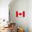 Canada Flag-jlgoodyear-Art Print displayed on a wall