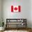 Canada Flag-jlgoodyear-Art Print displayed on a wall