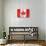 Canada - Flag-Trends International-Poster displayed on a wall