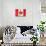 Canada - Flag-Trends International-Stretched Canvas displayed on a wall