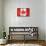 Canada - Flag-Trends International-Framed Stretched Canvas displayed on a wall