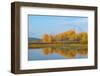 Canada geese (Branta canadensis) at Oxbow Bend of Snake River in autumn, Grand Teton National Pa...-Panoramic Images-Framed Photographic Print