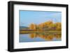 Canada geese (Branta canadensis) at Oxbow Bend of Snake River in autumn, Grand Teton National Pa...-Panoramic Images-Framed Photographic Print