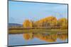 Canada geese (Branta canadensis) at Oxbow Bend of Snake River in autumn, Grand Teton National Pa...-Panoramic Images-Mounted Photographic Print