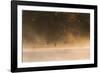 Canada Geese, Branta Canadensis, Fly over Pen Ponds in Richmond Park in Autumn-Alex Saberi-Framed Photographic Print