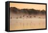 Canada Geese, Branta Canadensis, Fly over Pen Ponds in Richmond Park in Autumn-Alex Saberi-Framed Stretched Canvas